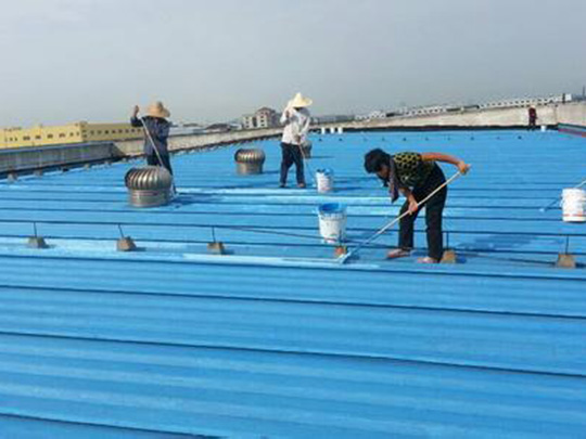 ���������ˮ