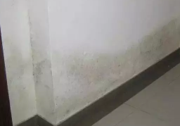 ������˵����ҷ�ˮ߀�Ǖ�(hu��)����